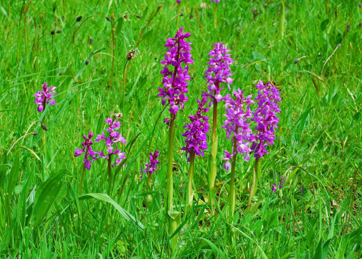 636907 (a): :2500x1791